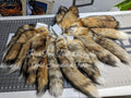 Red Fox Tail
