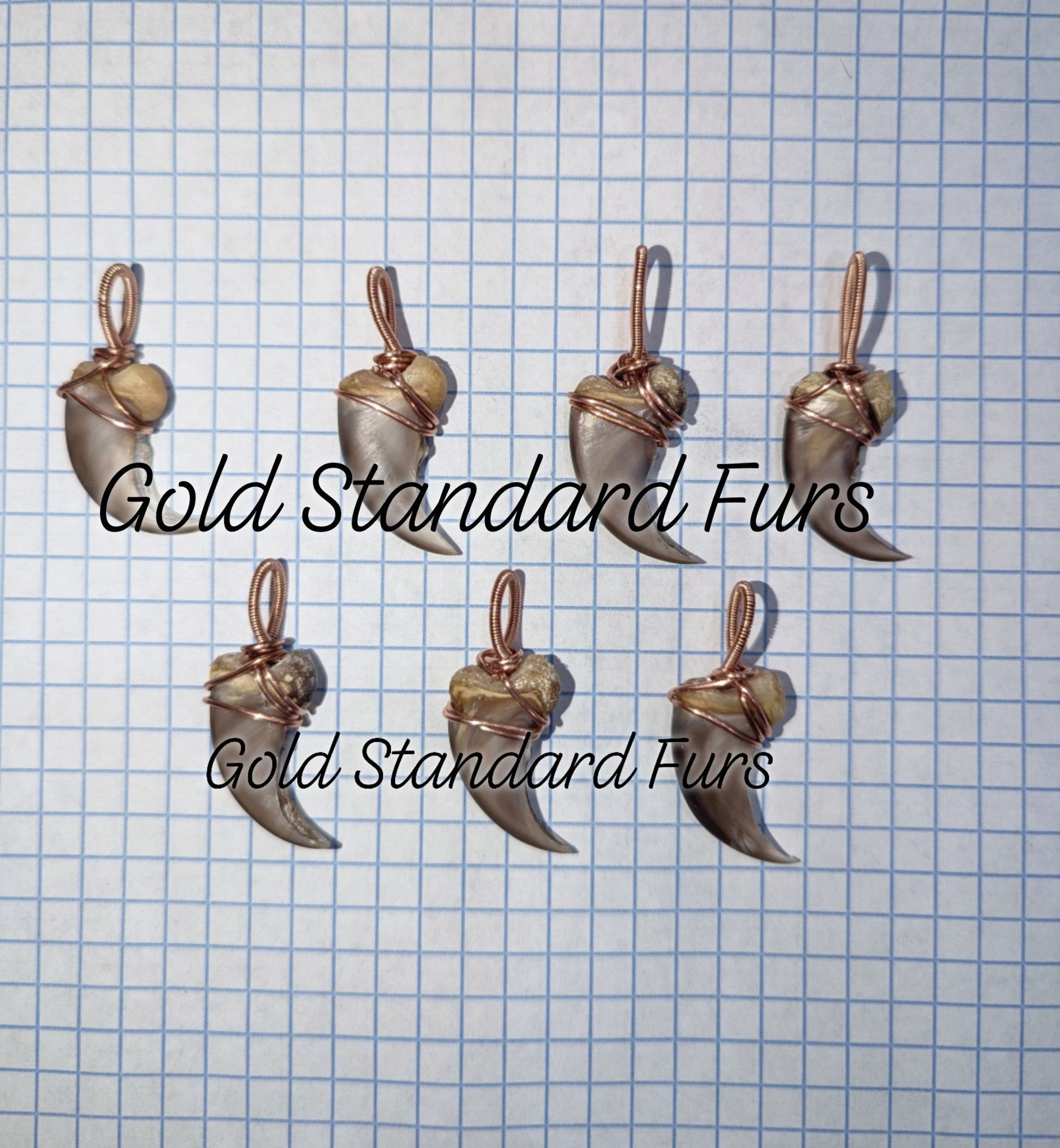 Black Bear Rear Claw Pendant – Copper Wire Wrapped