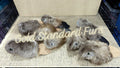 Little Beaver Fur Plush Toys