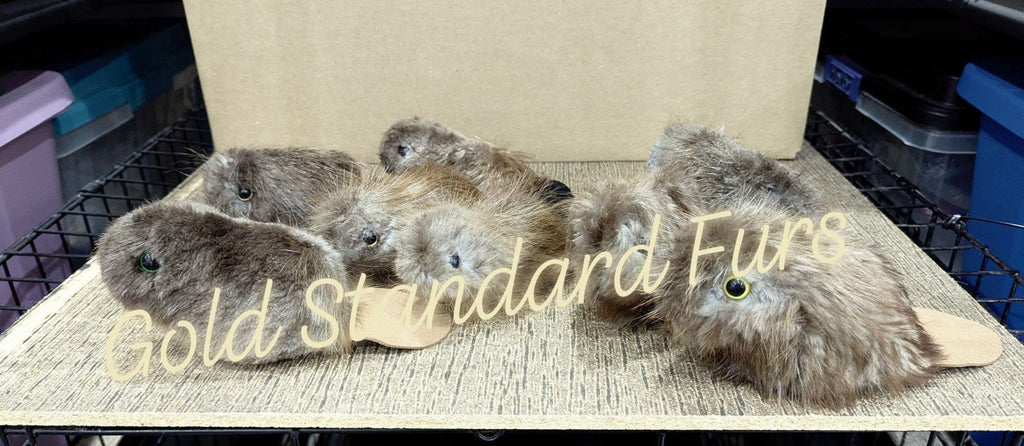 Little Beaver Fur Plush Toys