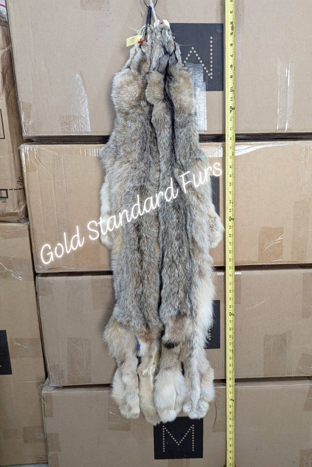 Lynx Pelts