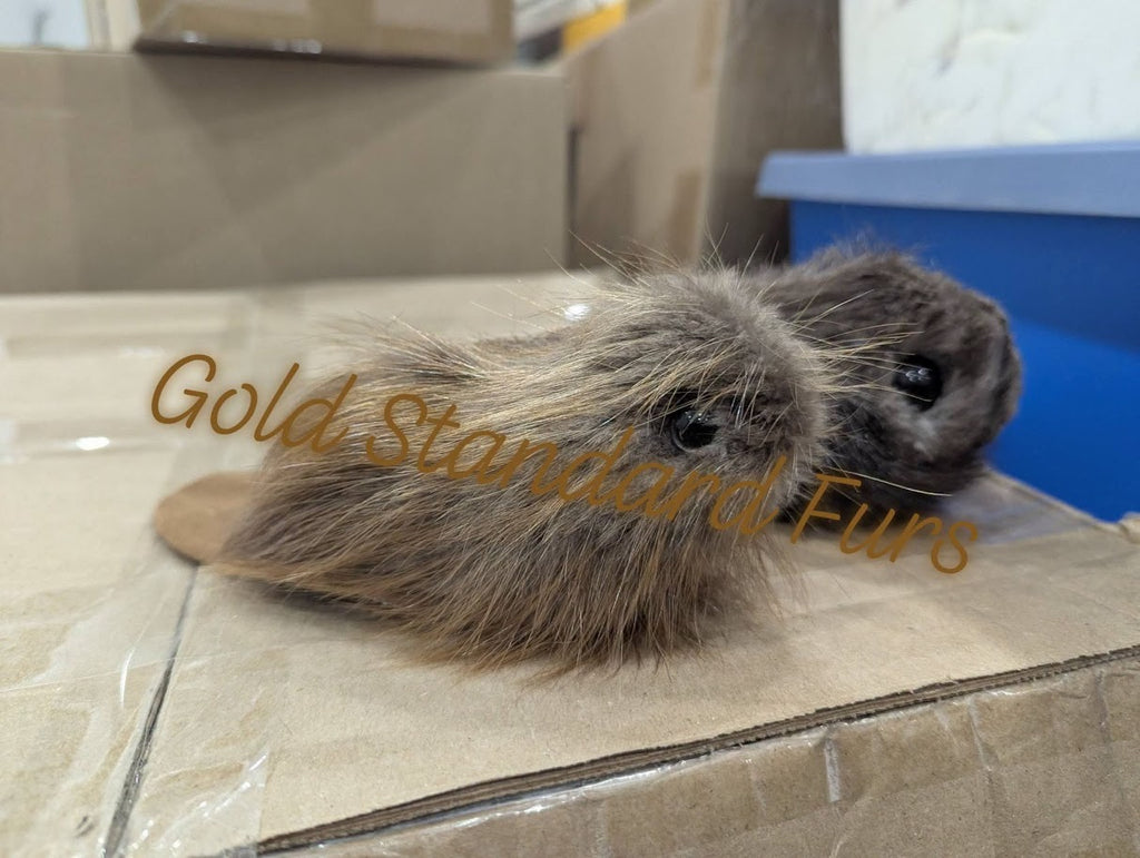 Little Beaver Fur Plush Toys
