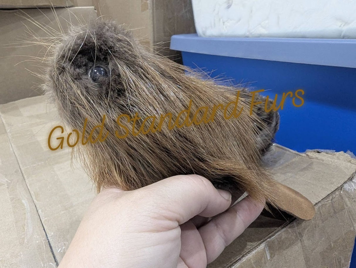 Little Beaver Fur Plush Toys