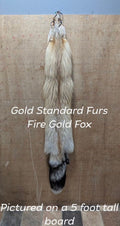 Fire Gold Fox Pelt – Rare Color Morph