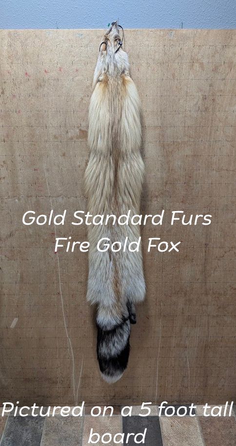 Fire Gold Fox Pelt – Rare Color Morph