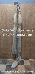Golden Island Fox Pelt – Rare Color, Exceptionally Large