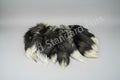 Silver Fox Tail