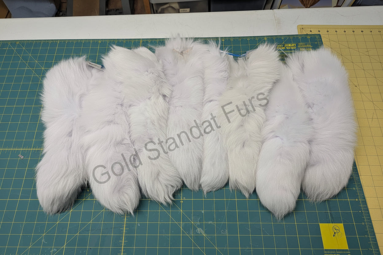 White Fox Tail