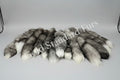 Frost Fox Tail