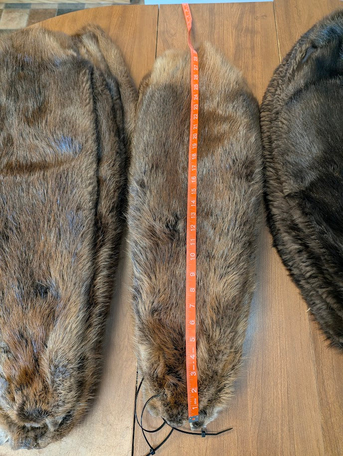 Beaver Pelt Case Skinned