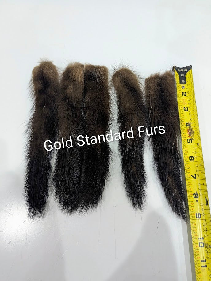 Alaskan Marten Tail