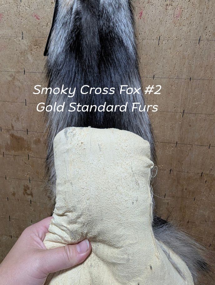 Smoky Cross Fox Pelt – Case Skinned