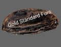 Beaver Pelt
